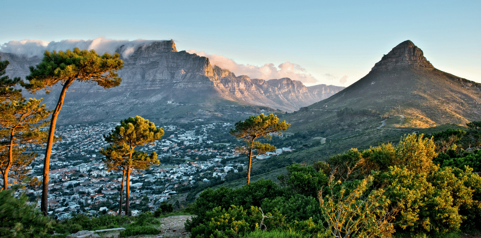 trips to South Africa