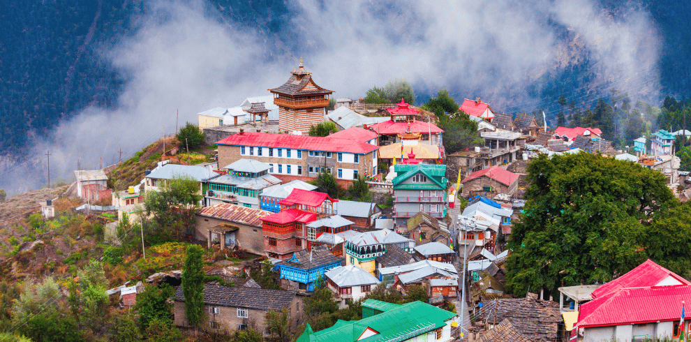 shimla tour