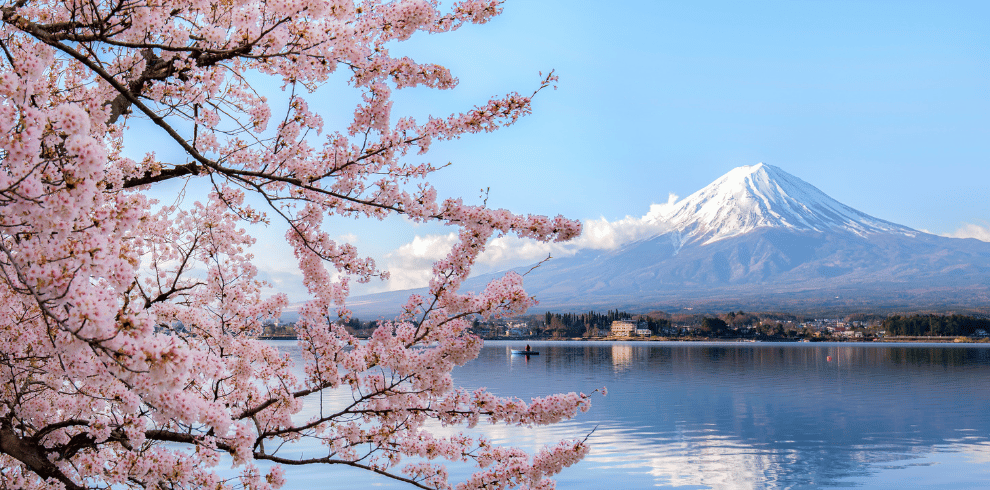 Japan Tours