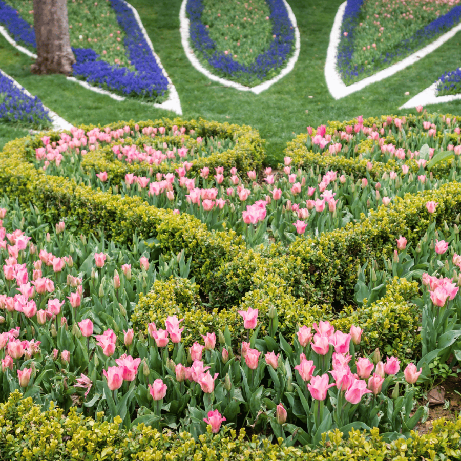 eme (7) Gulhane Park. , turkiye